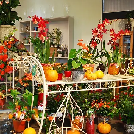 凯瑟拉斯特酒店 2* 施托克劳