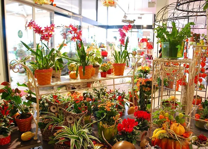 酒店 凯瑟拉斯特酒店